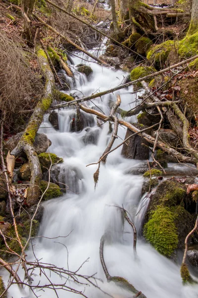 Art arda sıralı üzerinden düşmüş dalları