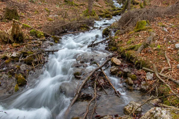 Voda Tekoucí Přes Moss Pobočky Všude — Stock fotografie