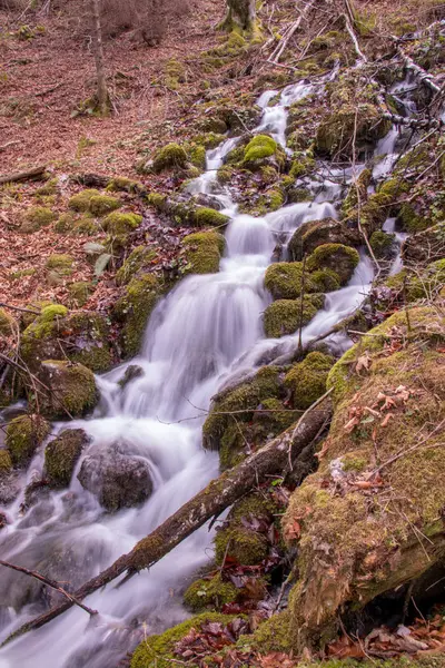 Água Que Flui Sobre Musgo Natureza — Fotografia de Stock