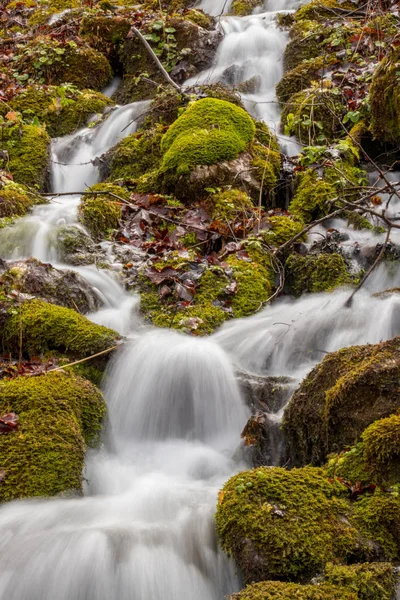 Eau Qui Coule Sur Mousse Dans Forêt — Photo