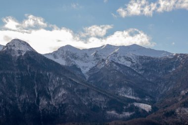 Orman ve ilk karla kaplı dağlar