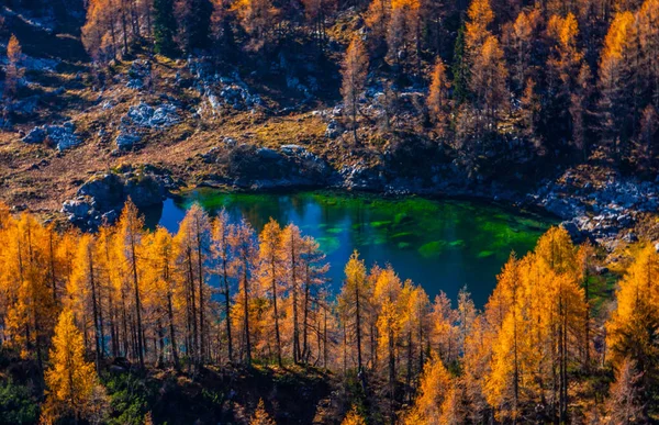 Sonbaharda Slovenya Triglav Lakes Valley Renk Yeşil Altın — Stok fotoğraf