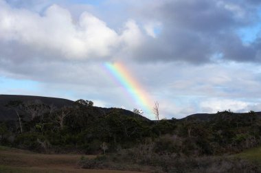 Gökkuşağı: Gran Savana, Venezuela