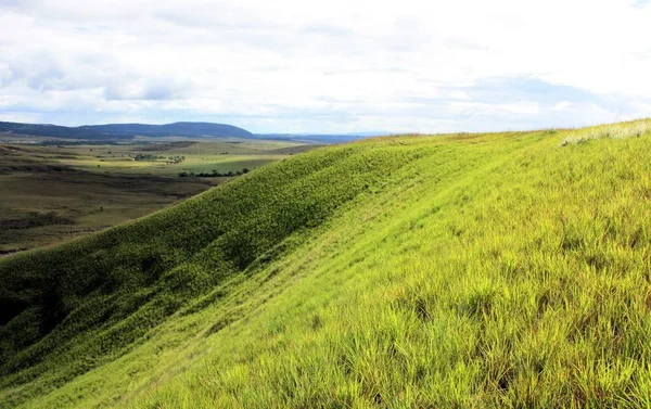 Hermosa Pendiente Verde Gran Sabana Venezuela —  Fotos de Stock