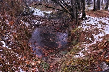 Sonbahar zaman küçük gölet