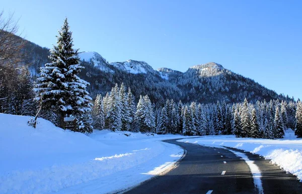 Sorika スロベニアのパスで Lovley 雪に覆われた道 — ストック写真