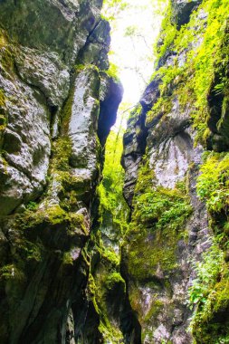 Kayalar moss Gorges Tolmin, Slovenya tam