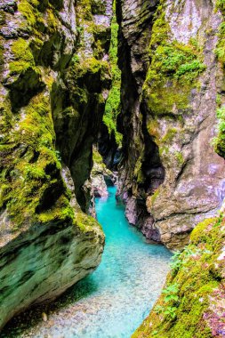 Tolmin Gorges, Slovenya muhteşem mavi nehir