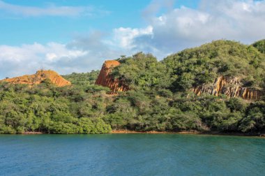 okyanus, orman ve turuncu toprak