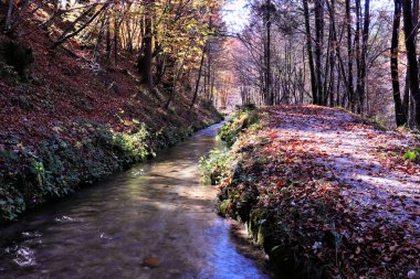 güneşli bir günde yanında küçük dere ve yol