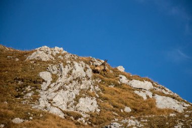 Dağ zirvesinde bebek buğulama, berrak gökyüzünde