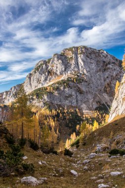 Ogradi Dağı güneşli bir sonbahar gününde