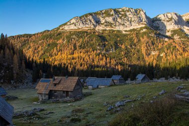 Dağ otlağı Laz, sabah erkenden.