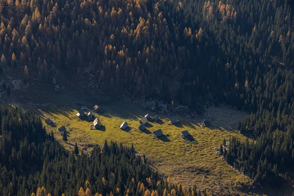 Alpages Laz Montagne Voisine — Photo