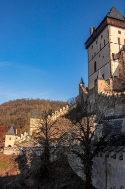 Karlstejn Kalesi 'nin duvarları olan ağaçlar