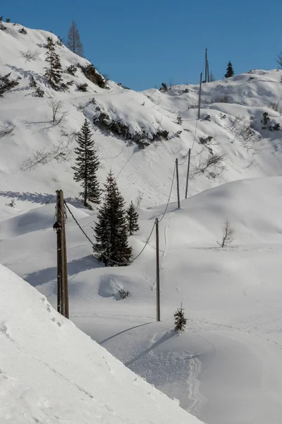 Stromkabel Mit Schnee Bedeckt — Stockfoto