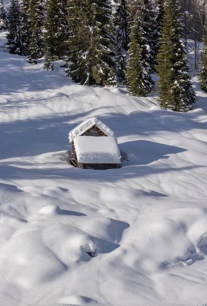 森林附近被雪覆盖的山区小屋 — 图库照片