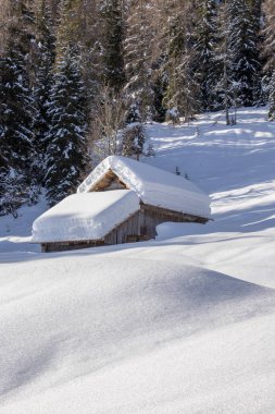 Bohinj dağlarındaki dağ kulübesi.