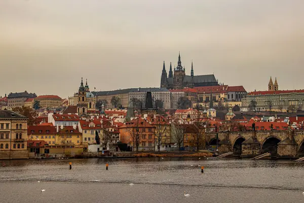 Vltava Vituskathedraal Het Kasteel Van Praag — Stockfoto