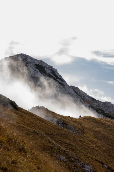 Camoscio Piedi Sulla Scogliera Montagna Con Nebbia — Foto Stock
