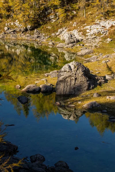 特里格拉夫湖谷的双湖 有落叶松树 — 图库照片