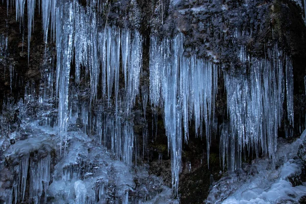 Πολλοί Παγοκρύσταλλοι Ένα Βράχο Στην Κοιλάδα Bohinj — Φωτογραφία Αρχείου