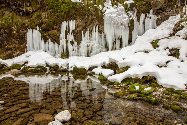 Pequeño Estanque Con Carámbano Fondo Valle Bohinj — Foto de Stock