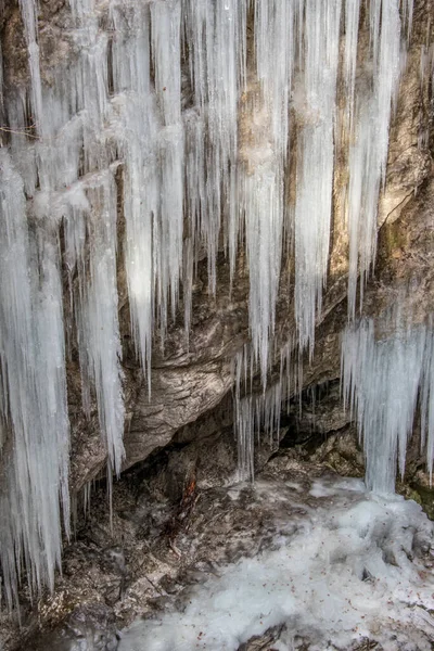 Cañón Cubierto Hielo Bohinj — Foto de Stock