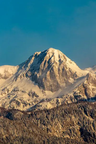 Bohinj Vadisi Nden Mielj Vrh Tepesi — Stok fotoğraf