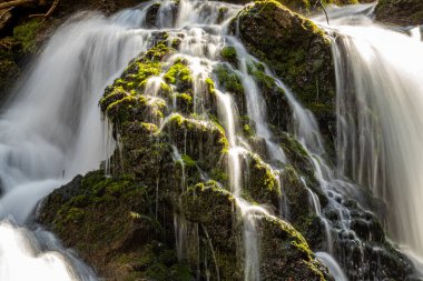 Voje Vadisi 'nde güzel bir şelale var, Bohinj.