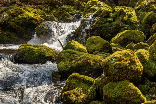 Vatten Som Rinner Över Klipporna Täckt Mossa Vojedalen Bohinj — Stockfoto