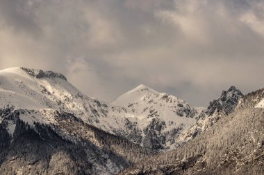 Bulutlu bir günde Bohinj Dağları