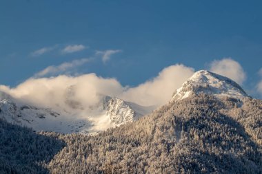Dağ zirvesi bulutla kaplı, Bohinj.