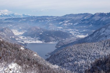 Bohinj Gölü kış karları ağaçları kapladı