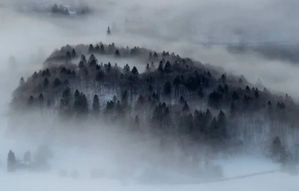 Mglista Mgła Pokrywająca Wzgórza Bohinj — Zdjęcie stockowe