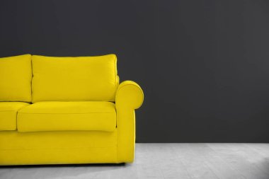 Zarif oda içi rahat kanepe