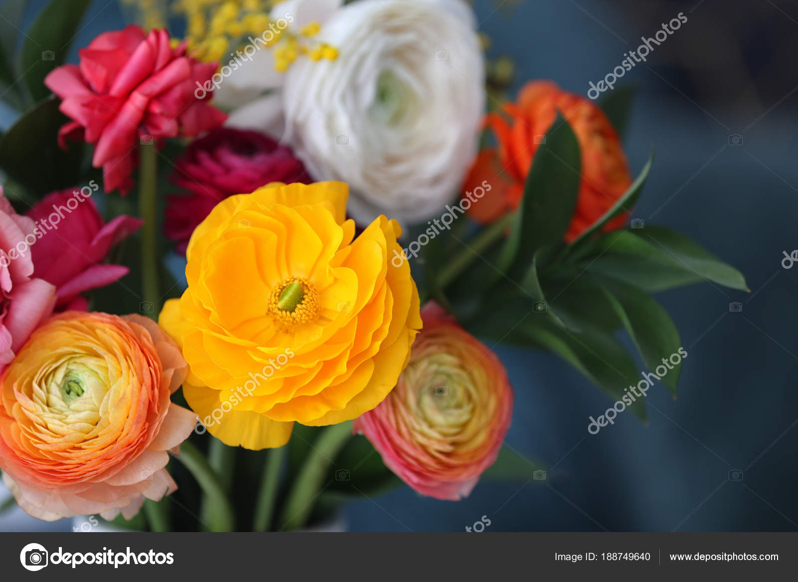 Beautiful ranunculus flowers on blurred background — Stock Photo ...