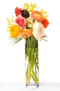 Beyaz arka plan üzerinde güzel tipik ve Mimoza çiçekli vazo