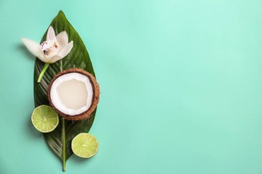 Hindistan cevizi suyu ve taze fındık renk arka plan, üstten görünüm kompozisyonu