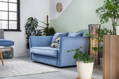 Rahat kanepe oturma odası iç