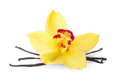 Vanilya çubukları ve beyaz arka plan üzerinde çiçek