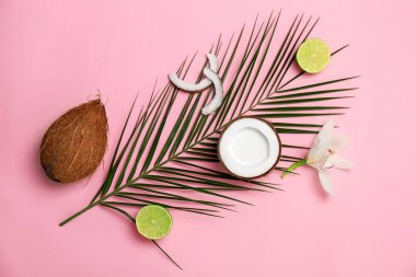 Hindistan cevizi sütü ve renk arka plan, üstten görünüm taze fındık kompozisyonu