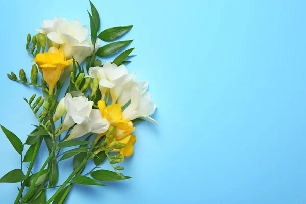 美丽的小苍兰花束在颜色背景 — 图库照片