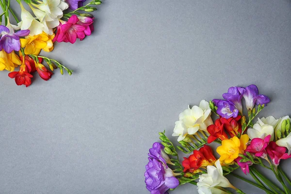 Mooie freesia bloemen op grijze achtergrond — Stockfoto