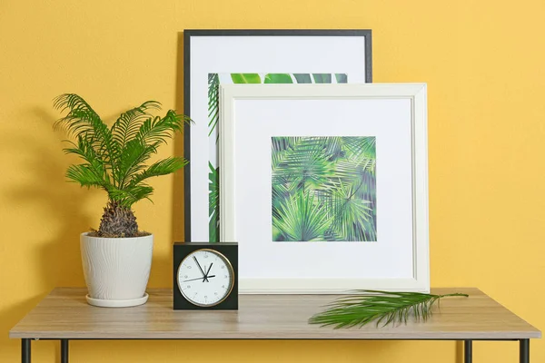 Maceta con palmera de Sago y fotos de hojas tropicales en la mesa en el interior de la habitación —  Fotos de Stock