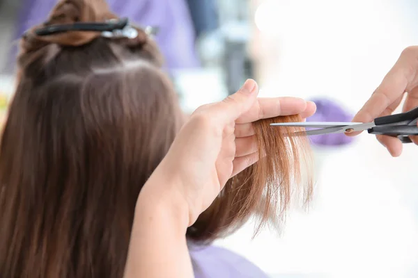 Cabeleireiro profissional trabalhando com o cliente no salão — Fotografia de Stock