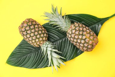 Taze ananas ve renk arka plan üzerinde tropikal yaprak