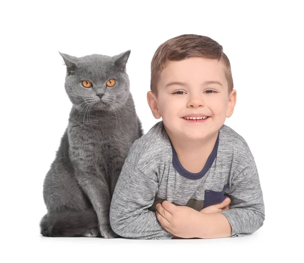 Niedliches kleines Kind mit Katze auf weißem Hintergrund — Stockfoto