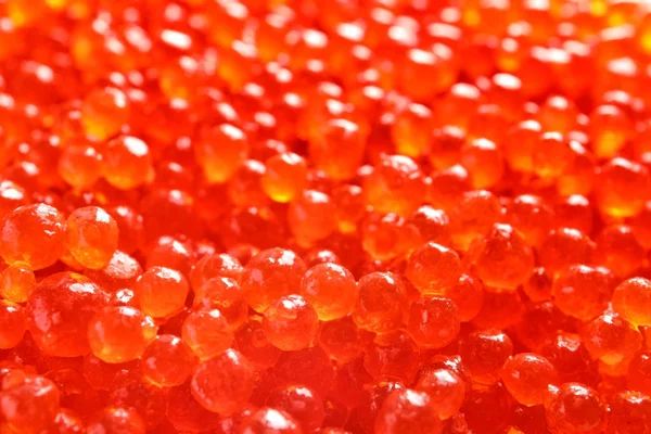 Delicioso caviar vermelho, close-up — Fotografia de Stock