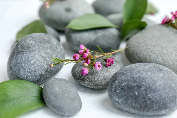 Spa stones and beautiful flowers on white background, closeup — Stock Photo, Image